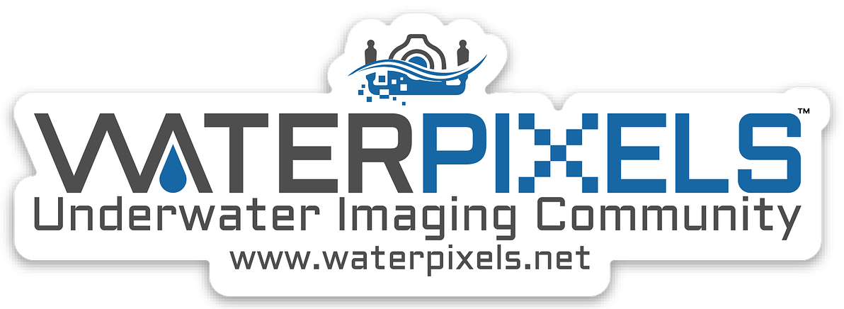 WPX Long Sticker